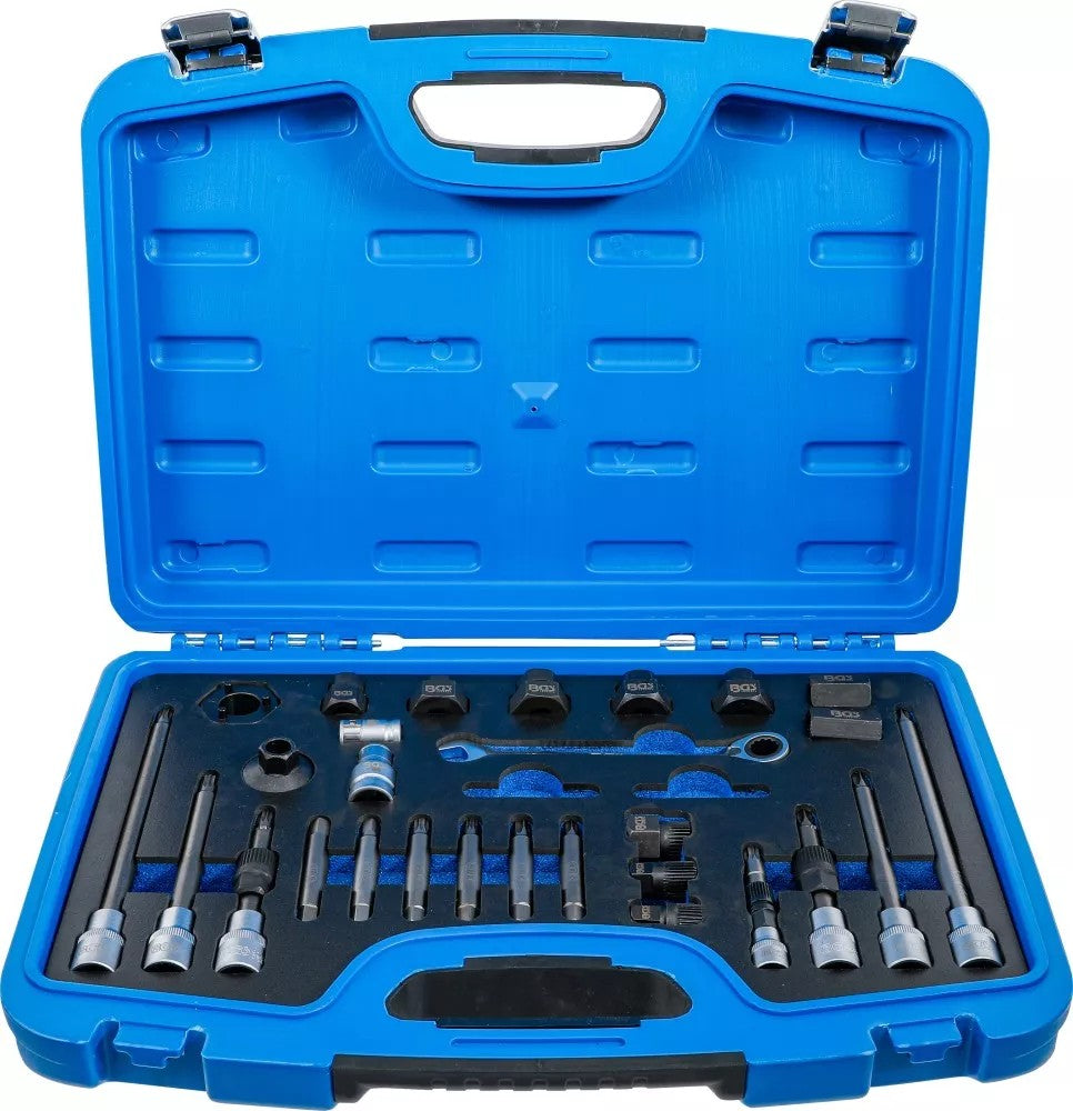ALTERNATOR TOOL SET | 30 PCS. (4248)