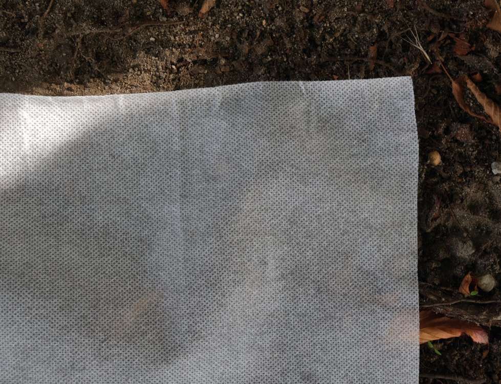PLANT PROTECTION FLEECE 50 G - 1,6X50M (91003)