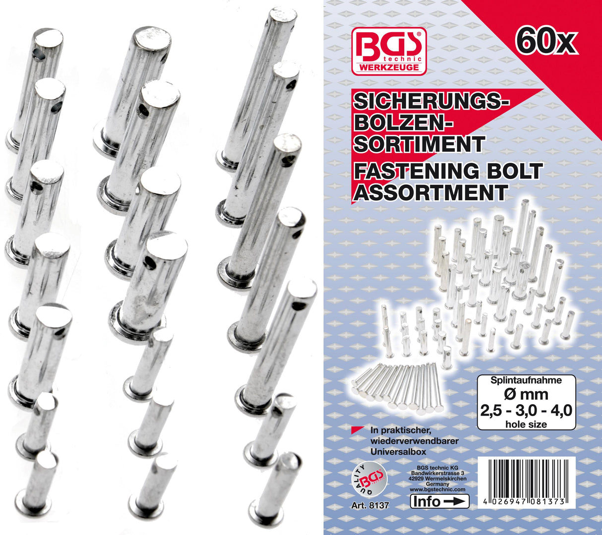 FASTENING BOLT SET | 60 PCS. (8137)