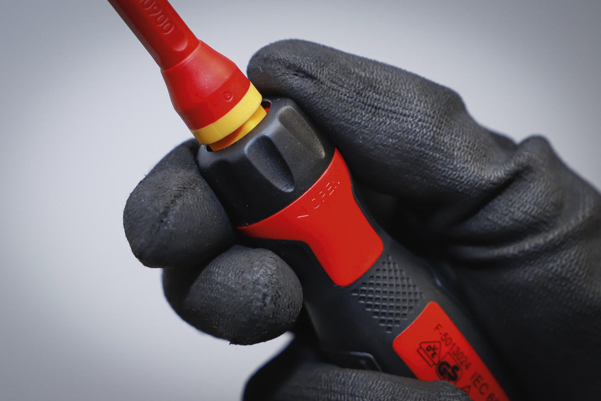 VDE SCREWDRIVER SET | WITH INTERCHANGEABLE BLADES | 8 PCS. (35813)