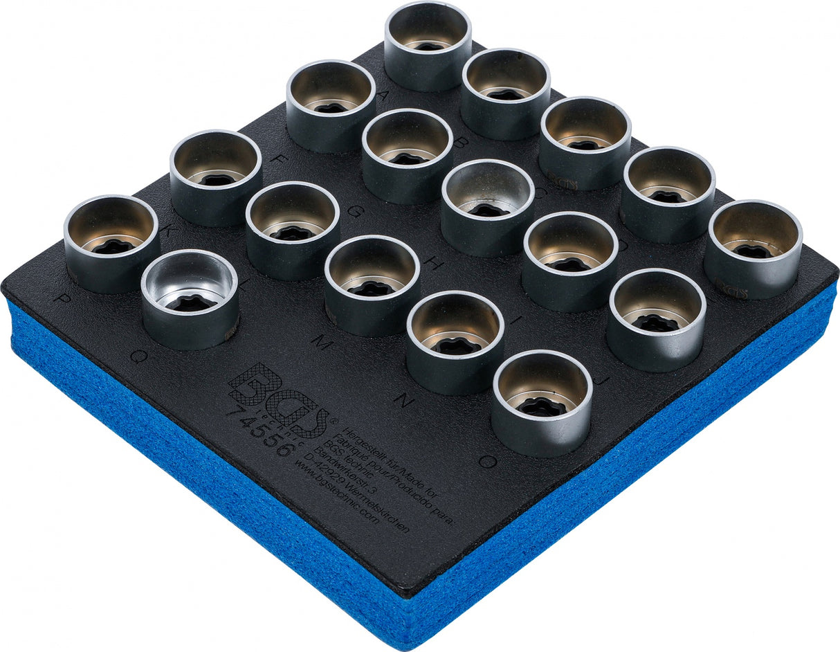 TOOL TRAY 1/6: RIM LOCK SOCKET SET FOR LAND ROVER | 17 PCS. (74556)