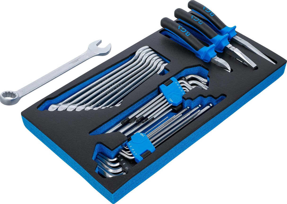 FOAM TRAY FOR BGS 2002 | COMBINATION WRENCHES, PLIERS AND L-TYPE WRENCHES | 31 PCS. (2002-8)