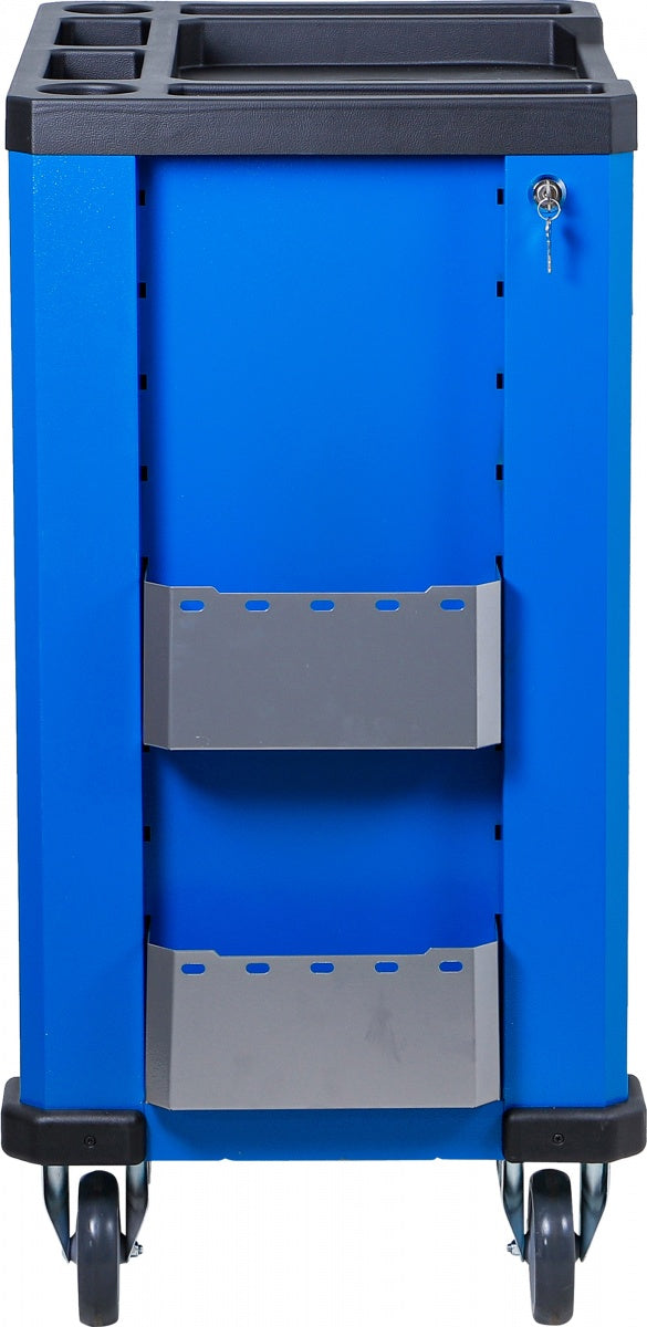 TOOL CABINET ON WHEELS | WITH TOOLS | 7 DRAWERS | 246 PCS (6068)