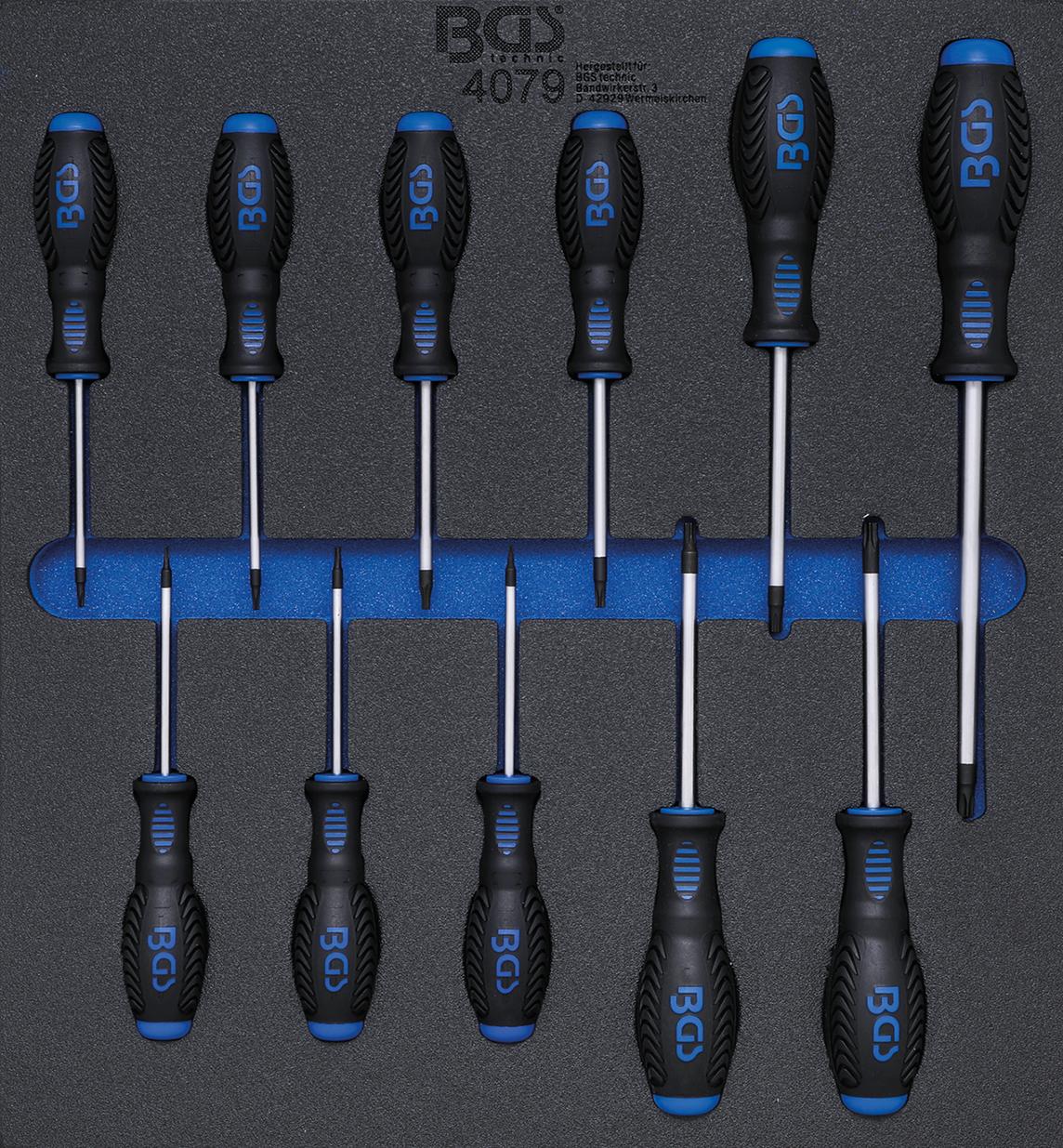 TOOL TRAY 2/3: SCREWDRIVER SET | T-STAR (FOR TORX) T6 - T40 | 11 PCS. (4079)