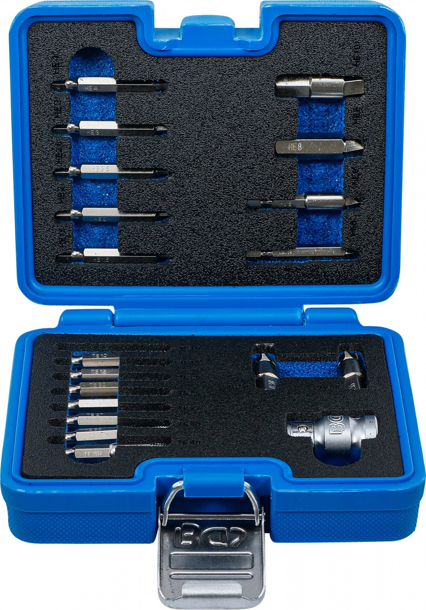 SCREW EXTRACTOR SET | FOR INTERNAL HEXAGON 1.5 - 10 MM / T-STAR (FOR TORX) | T10 - T55 | 19 PCS. (9173-1)