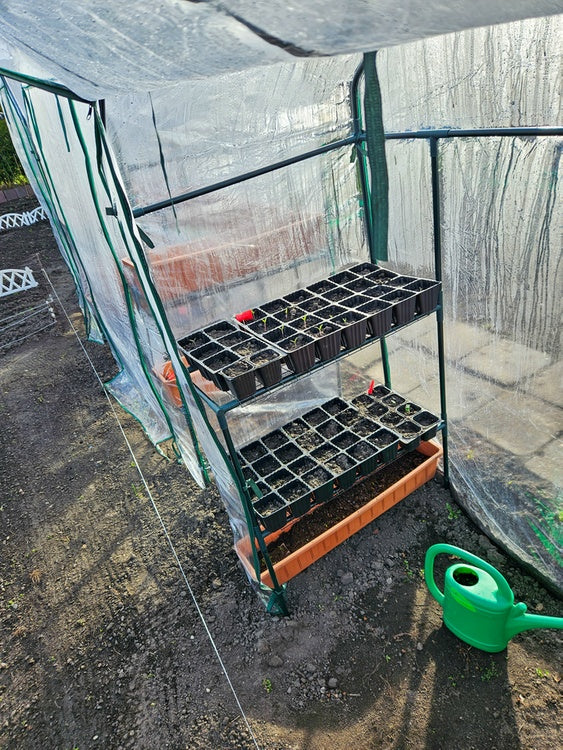 WALK-IN GREENHOUSE (90030)