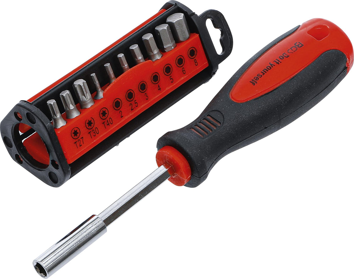 SCREWDRIVER BIT SET | 31 PCS. (35831)