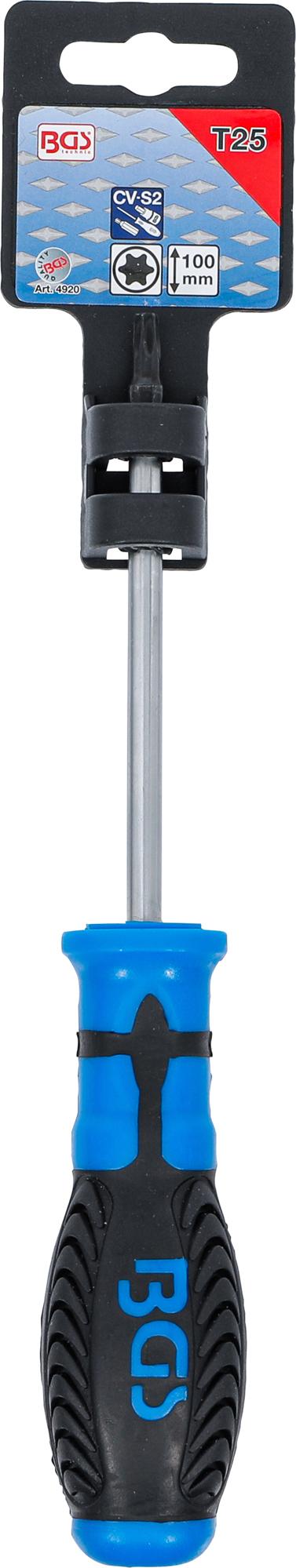 SCREWDRIVER | T-STAR (FOR TORX) T25 | BLADE LENGTH 100 MM (4920)