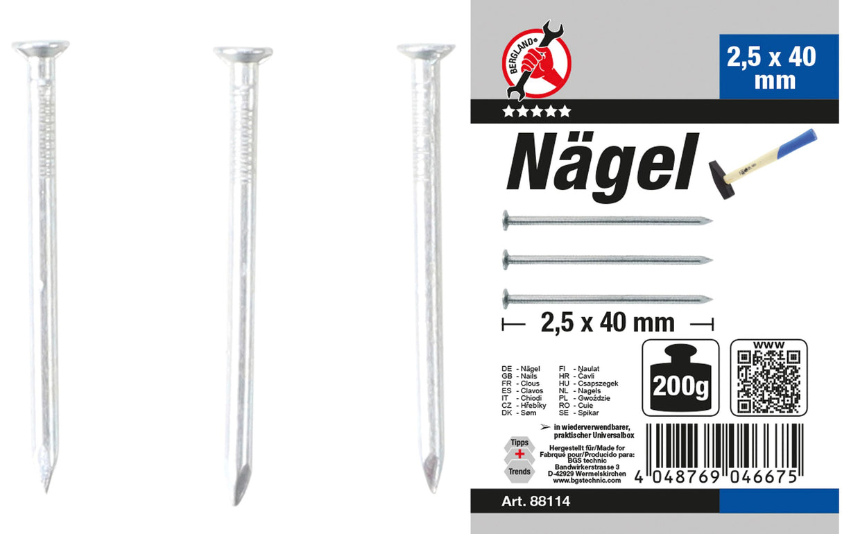 NAIL ASSORTMENT | 200 G | 2.5 X 40 MM (88114)