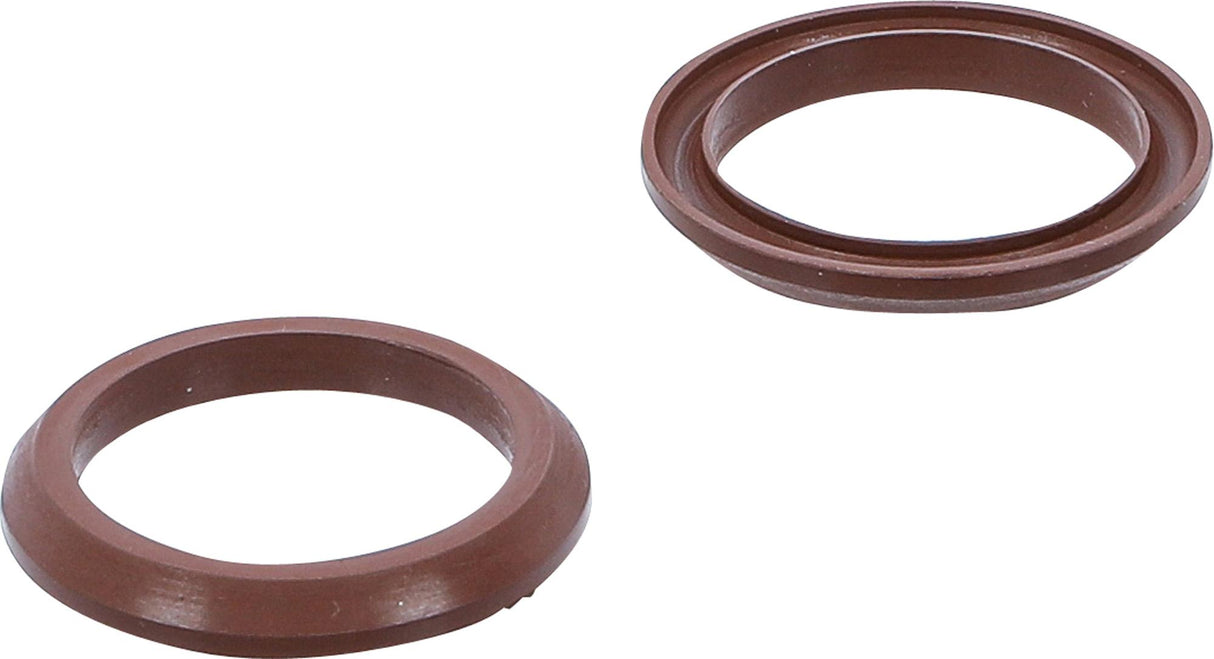 FLUORORUBBER SEALS FOR BGS 4067 (4067-1)