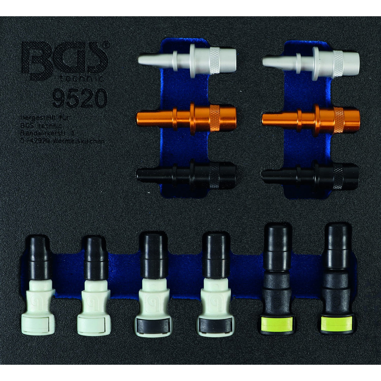 TOOL TRAY 1/6: FUEL PIPE SEALING PLUG ASSORTMENT | 12 PCS. (9520)