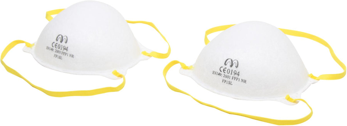 DUST MASKS | 2 PCS. (3620)