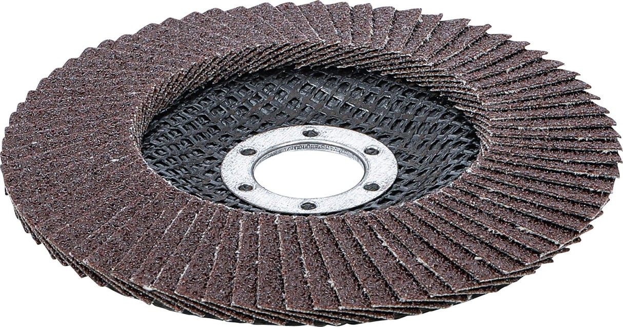 FLAP DISC | Ø 125 MM | K 80 (3976)