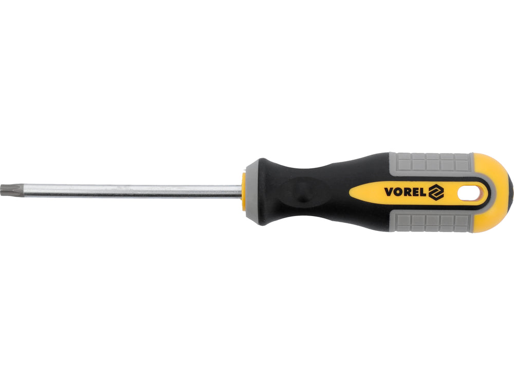 SCREWDRIVER TORX | T30X100 MM | CRV (60890)
