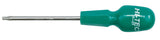 SCREWDRIVER TORX T15X100 (61381)