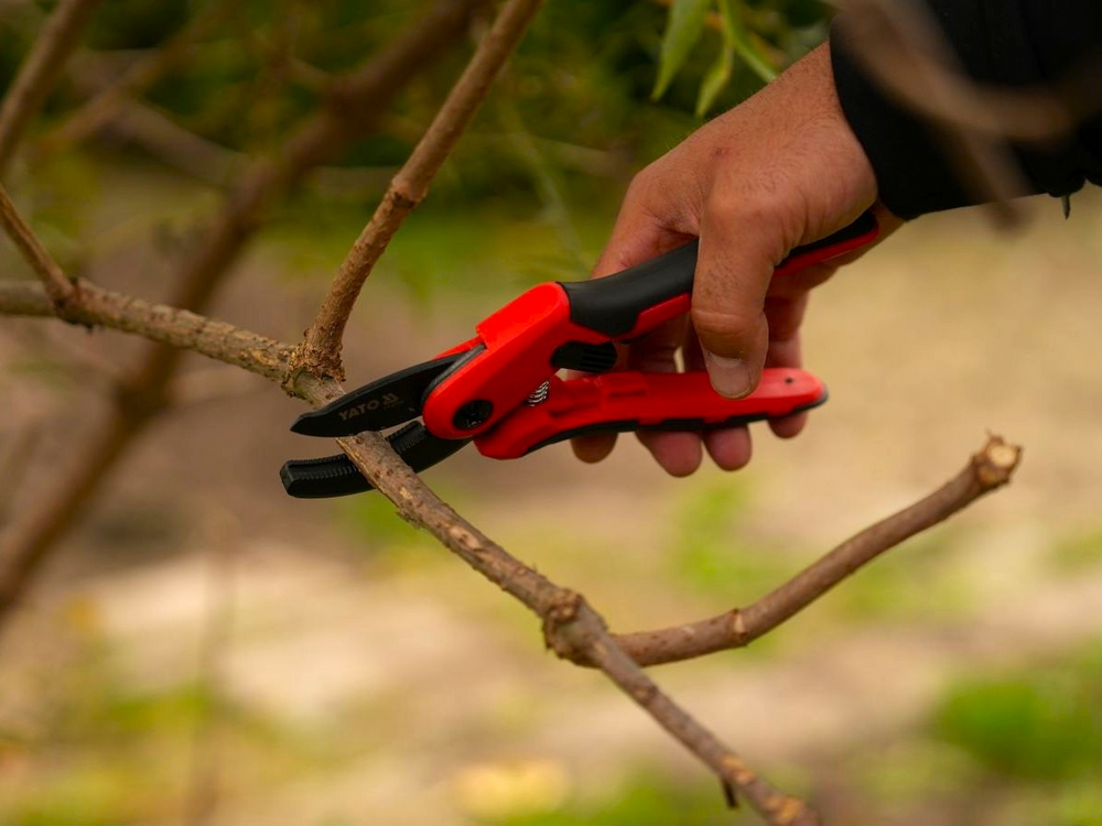 SECATEURS FOR PRUNING WITH LOCK | 205 MM | FOR BRANCHES UP TO 20 MM DIAMETER (YT-87891)