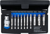 SCREW EXTRACTOR SET | FOR DAMAGED T-STAR (FOR TORX) T10 - T55 | 11 PCS. (9170)