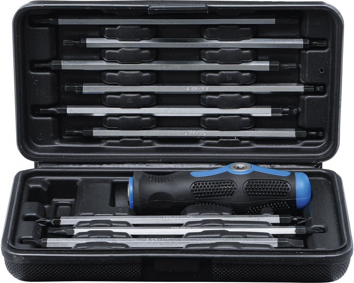 SCREWDRIVER SET WITH INTERCHANGEABLE BLADES | 11 PCS. (7988)