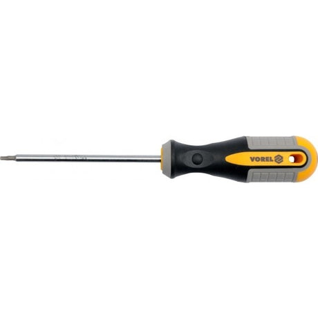 TORX SCREWDRIVER T10X100MM (60885)