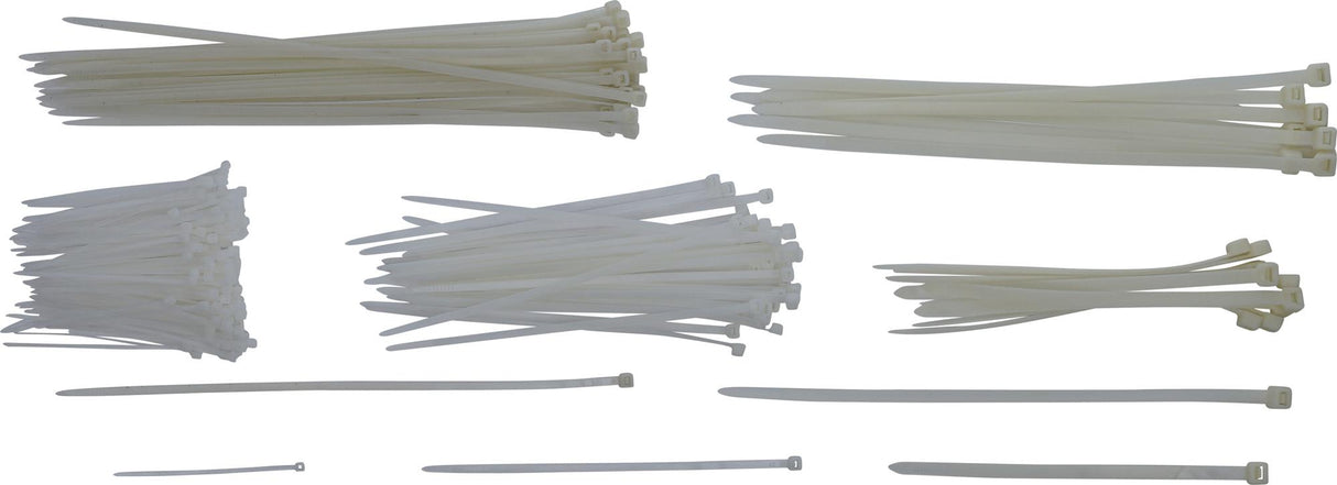 CABLE TIE ASSORTMENT | WHITE | 100 X 300 MM | 250 PCS. (80778)