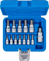 BIT SOCKET SET | 6.3 MM (1/4) / 10 MM (3/8") / 12.5 MM (1/2") DRIVE | INTERNAL HEXAGON 2 - 14 MM | 13 PCS. (74257)