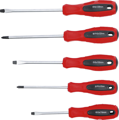 SCREWDRIVER SET | SLOT SL / CROSS SLOT | 5 PCS. (35835)