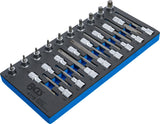 TOOL TRAY 1/3: BIT SOCKET SET | 12.5 MM (1/2") | T-STAR (FOR TORX) | 26 PCS. (4119)
