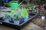 MULTIFUNCTIONAL DRAIN PAN WITH SPOUT | BLACK | 42 L (9997)