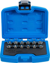 INJECTOR SEALING PLUG SET | 12 PCS. (9540)