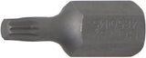 BIT | LENGTH 30 MM | 10 MM (3/8") DRIVE | SPLINE (FOR XZN) M5 (4850)