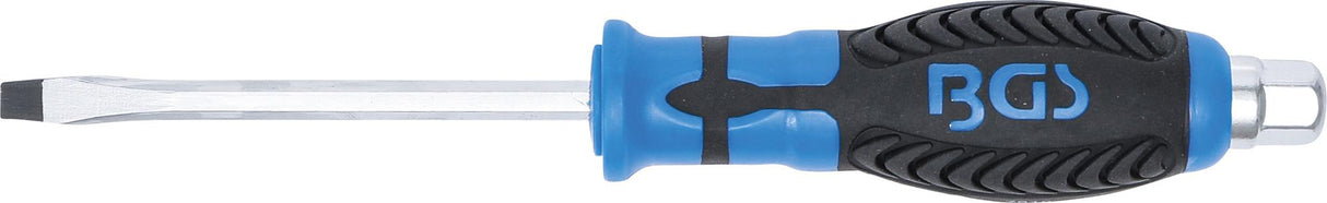 SCREWDRIVER | WITH EXTERNAL HEXAGON | SLOT SL 6 MM | BLADE LENGTH 100 MM (7919)