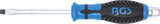 SCREWDRIVER | WITH EXTERNAL HEXAGON | SLOT SL 6 MM | BLADE LENGTH 100 MM (7919)