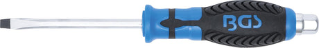 SCREWDRIVER | WITH EXTERNAL HEXAGON | SLOT SL 6 MM | BLADE LENGTH 100 MM (7919)