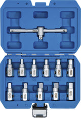 UNIVERSAL OIL DRAIN SOCKET SET | 12 PCS. (1017)