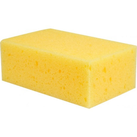 SPONGE 165X100X60 MM (04540)