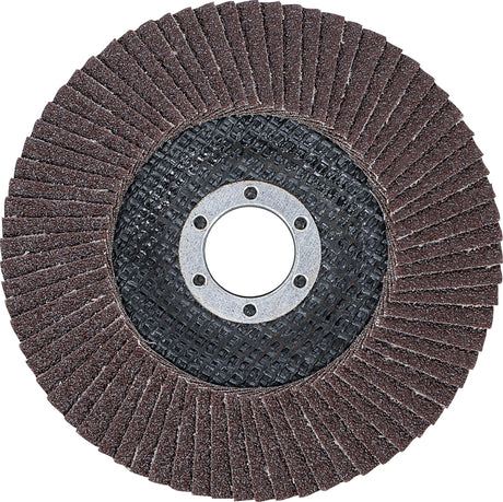FLAP DISC | Ø 125 MM | K 80 (3976)