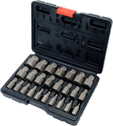 25 PCS SCREW EXTRACTOR SET (YT-06034)