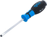 SCREWDRIVER | SLOT SL 6 MM | BLADE LENGTH 100 MM (4904)