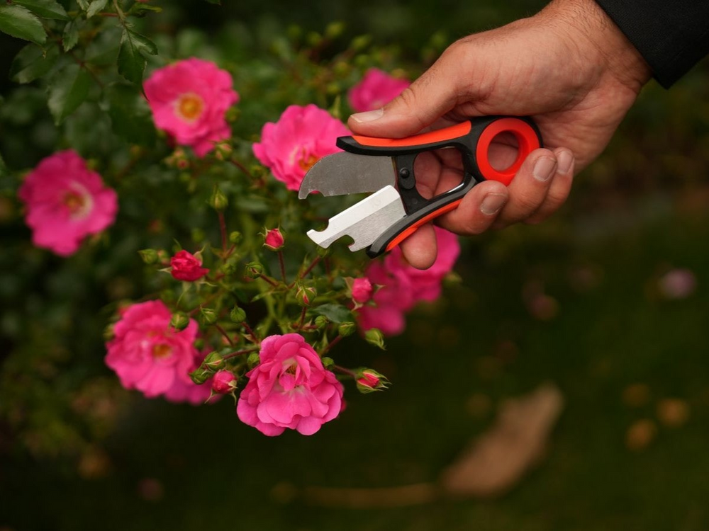 FLOWER STRIPPER WITH ROSE THORN REMOVER | 13 CM (YT-87850)