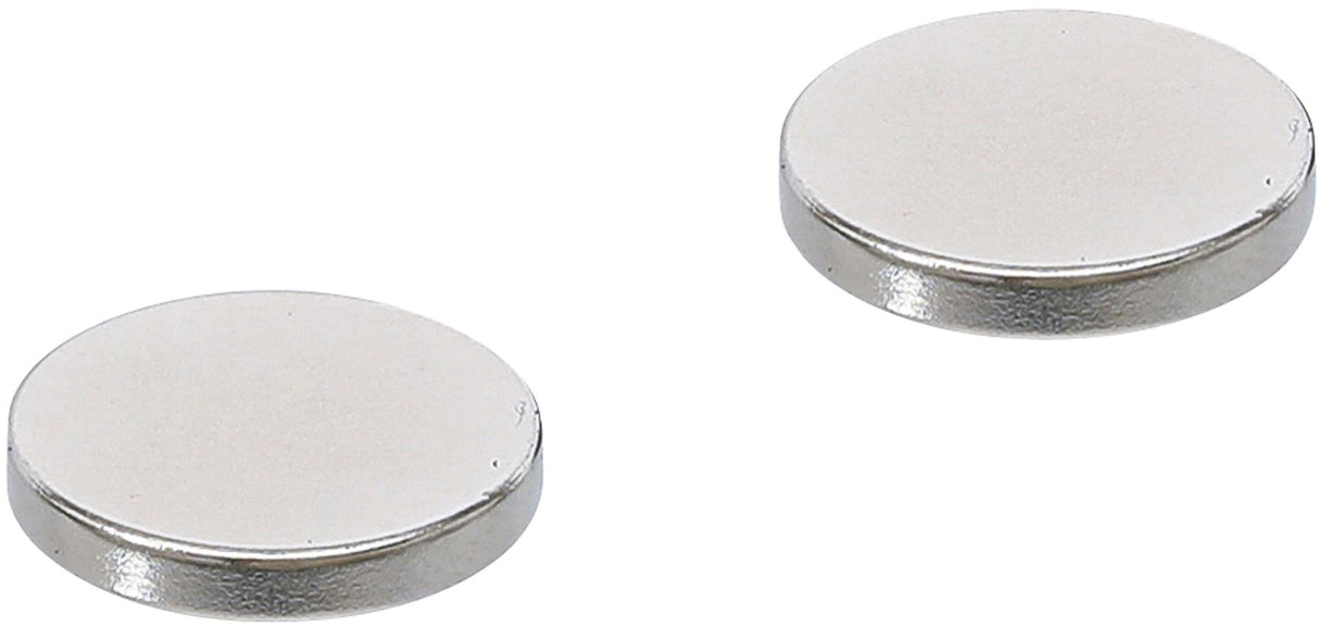MAGNET SET | EXTRA STRONG | Ø 18 MM | 2 PCS. (79911)