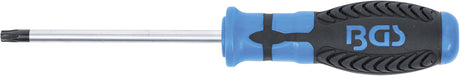 SCREWDRIVER | T-STAR (FOR TORX) T30 | BLADE LENGTH 100 MM (4922)
