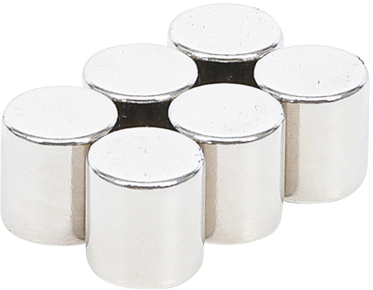 MAGNET SET | EXTRA STRONG | Ø 9.5 MM | 6 PCS. (79919B)