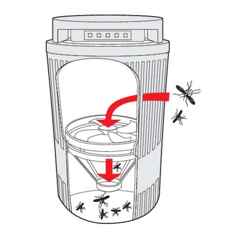 INSECT KILLER LAMP WITH FAN, UV-A 5W (67011)