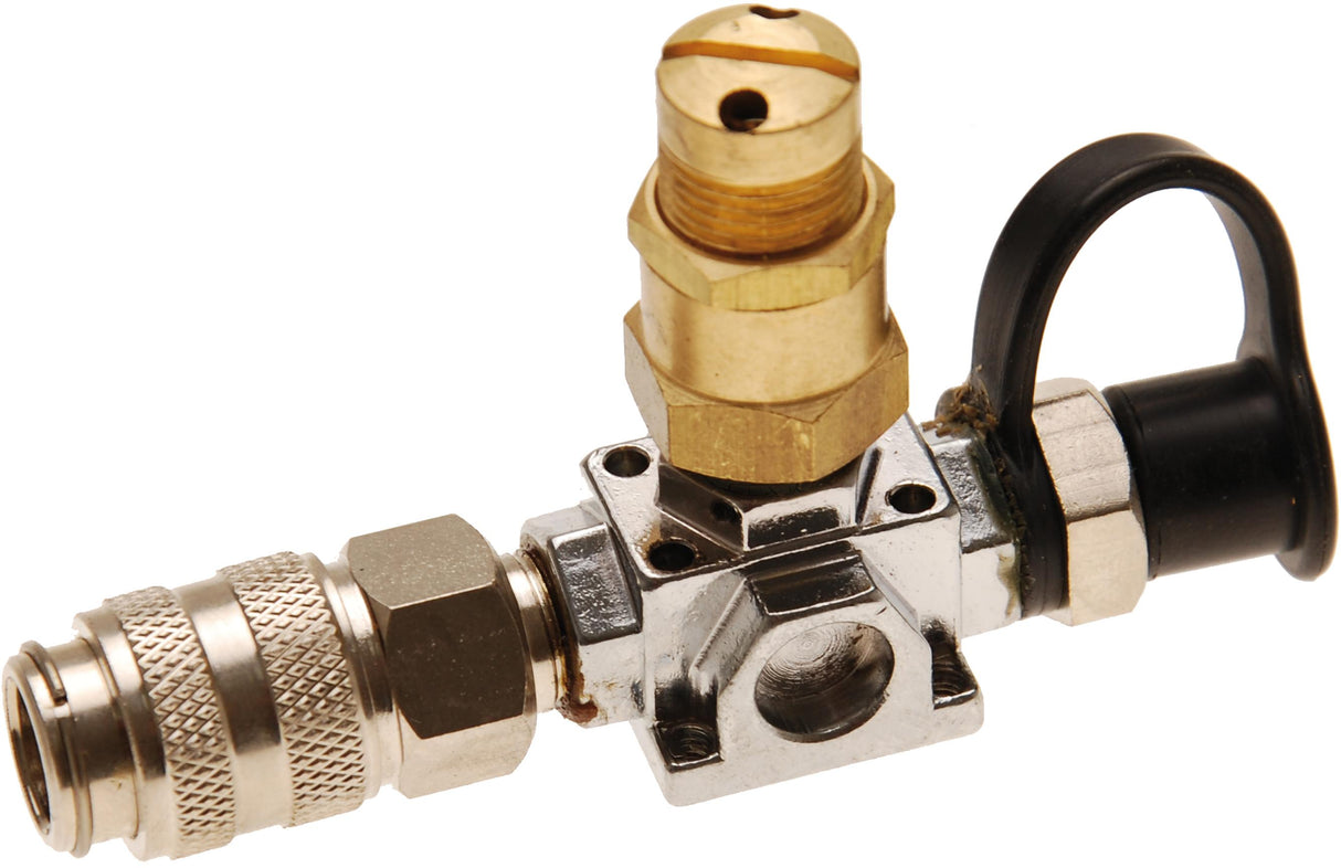 REPLACEMENT SAFETY VALVE FOR BGS 8563 (8563-1)
