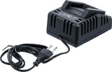 QUICK CHARGER | 4.0 A | 18 V (7381)