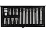 SCREWDRIVER BIT SET  RIBE M6-M14 15PCS (YT-0419)