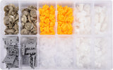 TRIM CLIPS ASSORTMENT RENAULT 300PCS (YT-06651)