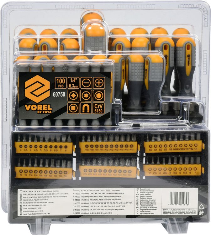 SCREWDRIVER SET 100PCS (60750)