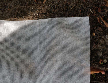 PLANT PROTECTION FLEECE 50 G - 1,6X50M (91003)