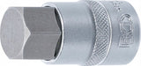 BIT SOCKET | 12.5 MM (1/2") | INTERNAL HEXAGON 22 MM (5184-H22)